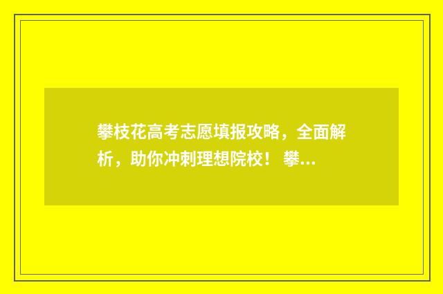 攀枝花高考志愿填报攻略，全面解析，助你冲刺理想院校！ 攀枝花高考志愿填报