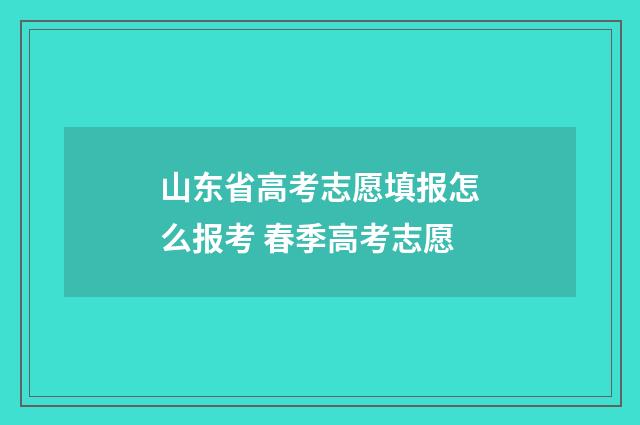 山东省高考志愿填报怎么报考 春季高考志愿