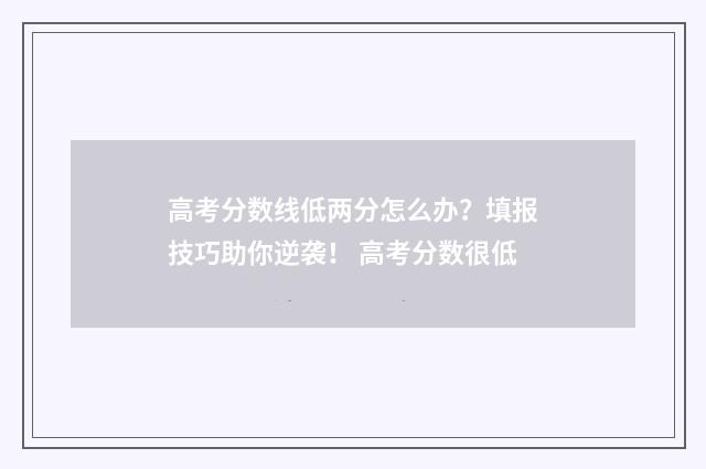 高考分数线低两分怎么办?填报技巧助你逆袭! 高考分数很低