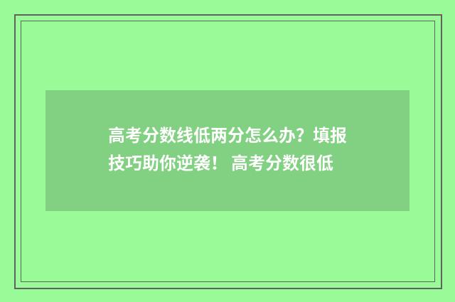 高考分数线低两分怎么办?填报技巧助你逆袭! 高考分数很低