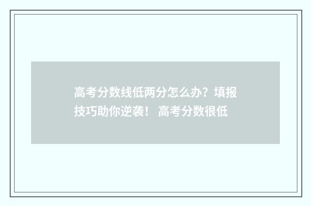高考分数线低两分怎么办?填报技巧助你逆袭! 高考分数很低