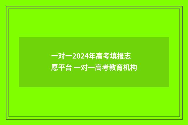 一对一2024年高考填报志愿平台 一对一高考教育机构