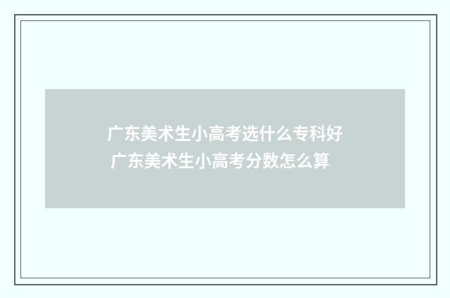 广东美术生小高考选什么专科好 广东美术生小高考分数怎么算
