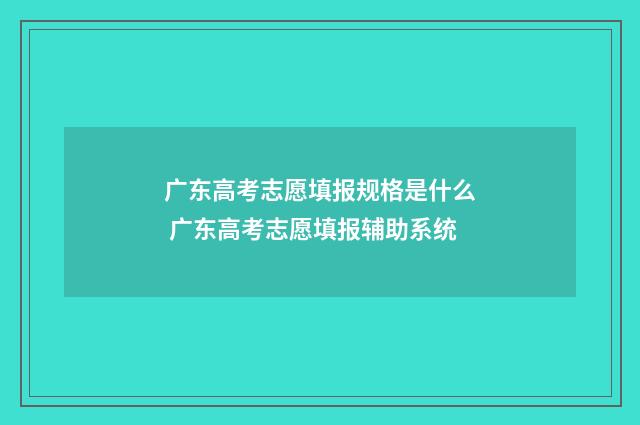 广东高考志愿填报规格是什么 广东高考志愿填报辅助系统