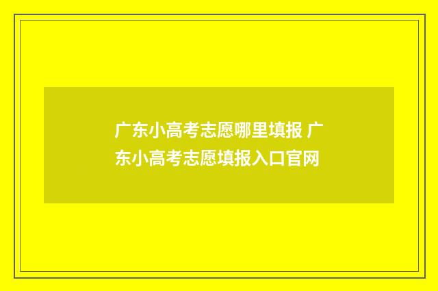 广东小高考志愿哪里填报 广东小高考志愿填报入口官网