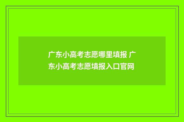广东小高考志愿哪里填报 广东小高考志愿填报入口官网