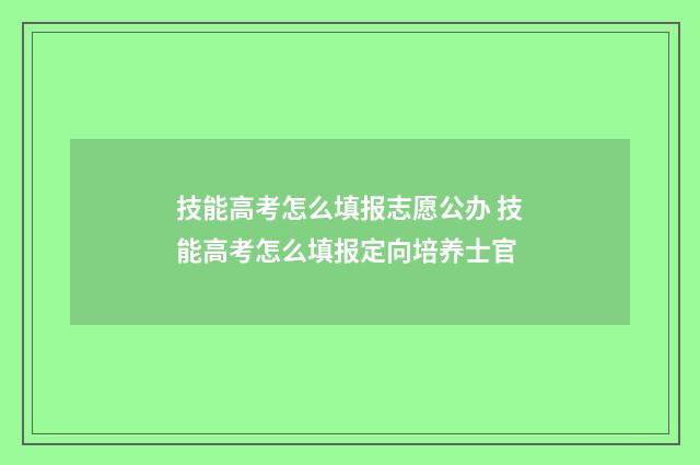 技能高考怎么填报志愿公办 技能高考怎么填报定向培养士官