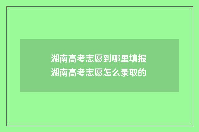 湖南高考志愿到哪里填报 湖南高考志愿怎么录取的