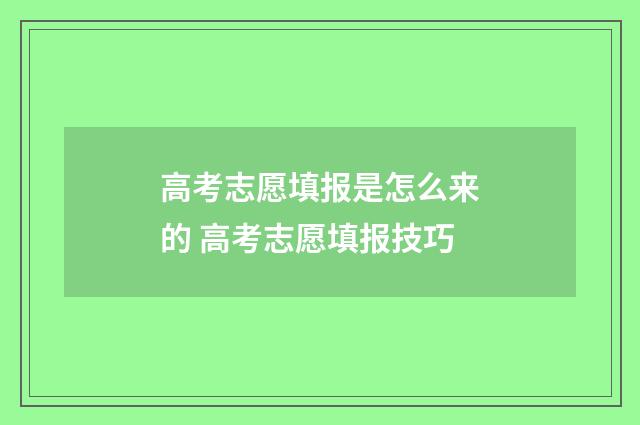 高考志愿填报是怎么来的 高考志愿填报技巧