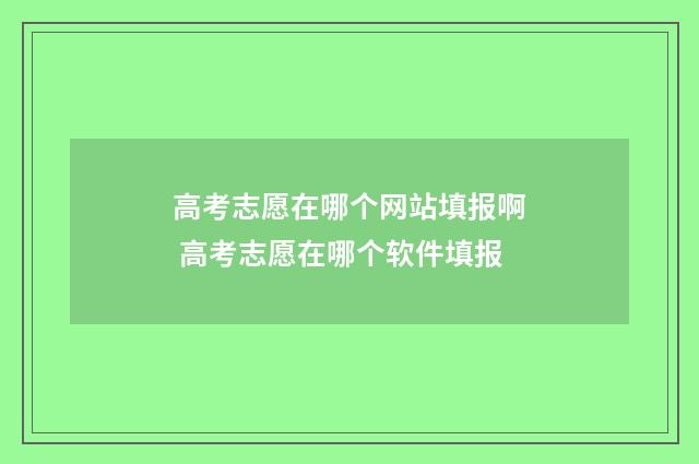 高考志愿在哪个网站填报啊 高考志愿在哪个软件填报