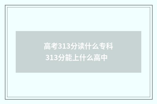 高考313分读什么专科 313分能上什么高中