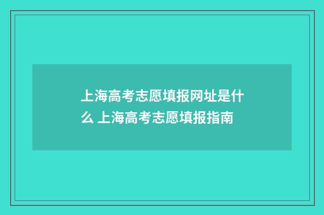 上海高考志愿填报网址是什么 上海高考志愿填报指南
