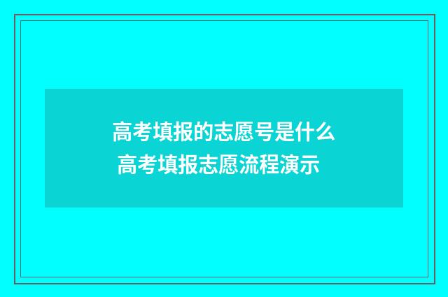 高考填报的志愿号是什么 高考填报志愿流程演示