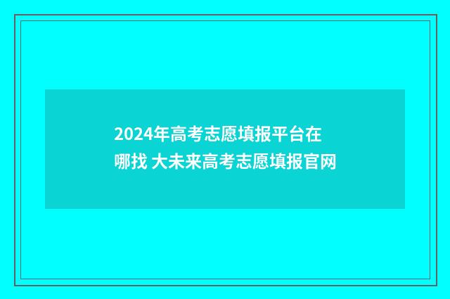 2024年高考志愿填报平台在哪找 大未来高考志愿填报官网
