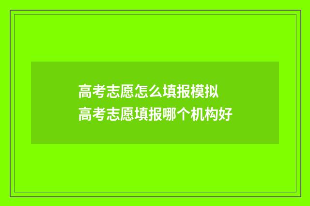 高考志愿怎么填报模拟 高考志愿填报哪个机构好