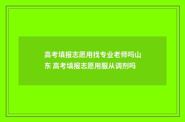 高考填报志愿用找专业老师吗山东 高考填报志愿用服从调剂吗