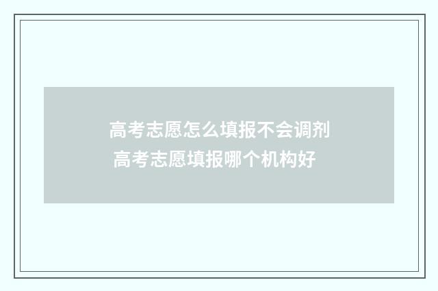 高考志愿怎么填报不会调剂 高考志愿填报哪个机构好