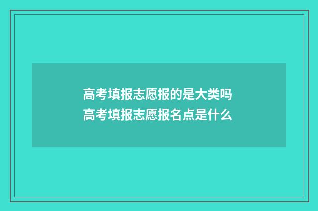 高考填报志愿报的是大类吗 高考填报志愿报名点是什么