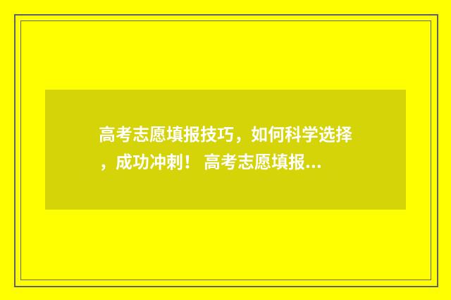 高考志愿填报技巧，如何科学选择，成功冲刺！ 高考志愿填报技巧与指南2004