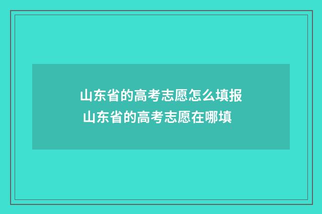 山东省的高考志愿怎么填报 山东省的高考志愿在哪填