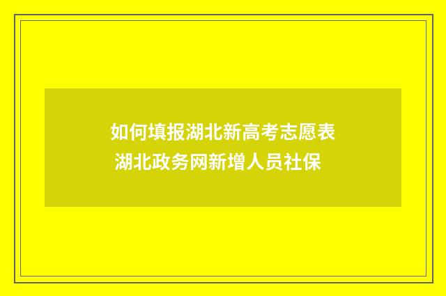 如何填报湖北新高考志愿表 湖北政务网新增人员社保