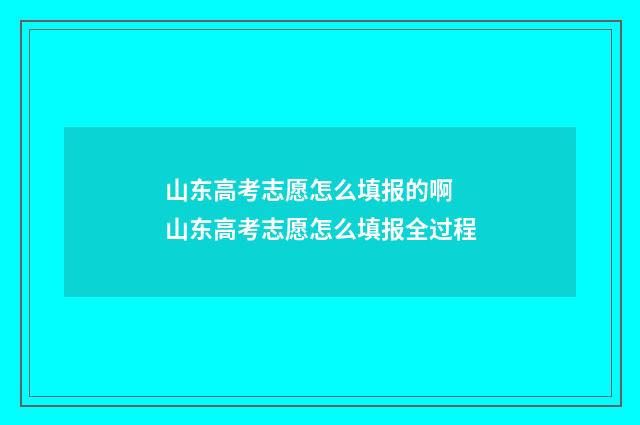 山东高考志愿怎么填报的啊 山东高考志愿怎么填报全过程