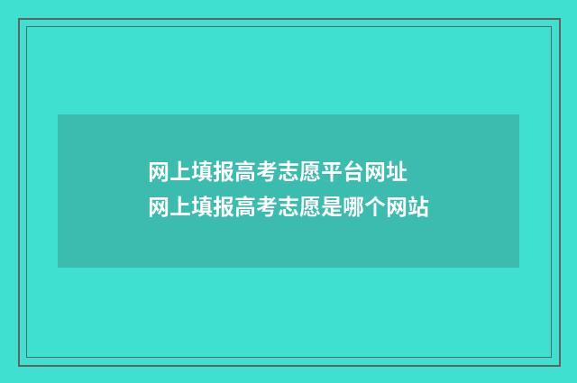 网上填报高考志愿平台网址 网上填报高考志愿是哪个网站
