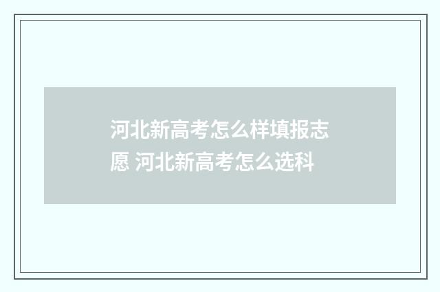 河北新高考怎么样填报志愿 河北新高考怎么选科