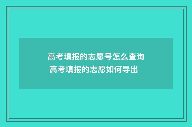 高考填报的志愿号怎么查询 高考填报的志愿如何导出