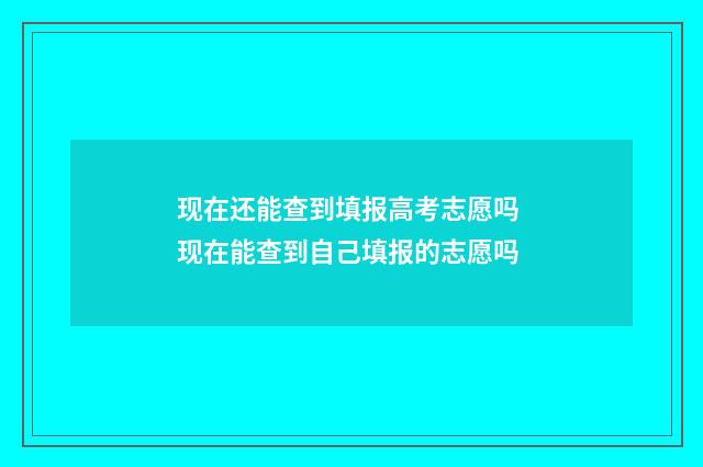现在还能查到填报高考志愿吗 现在能查到自己填报的志愿吗