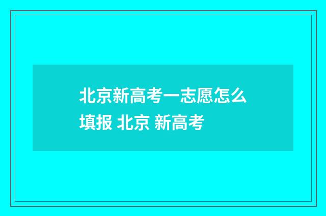 北京新高考一志愿怎么填报 北京 新高考