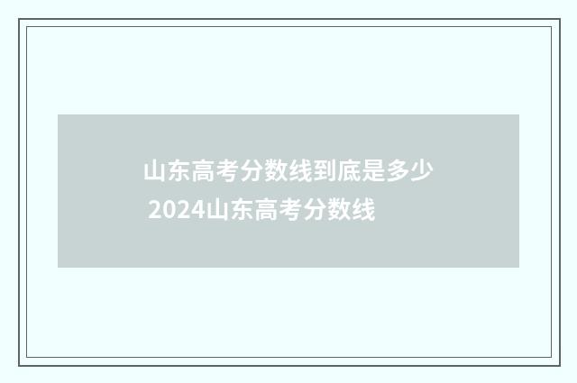 山东高考分数线到底是多少 2024山东高考分数线