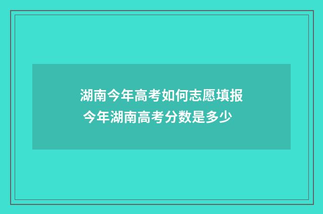 湖南今年高考如何志愿填报 今年湖南高考分数是多少