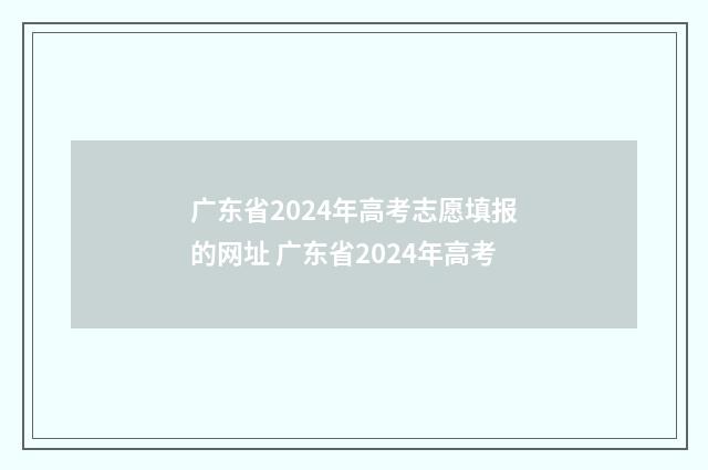 广东省2024年高考志愿填报的网址 广东省2024年高考