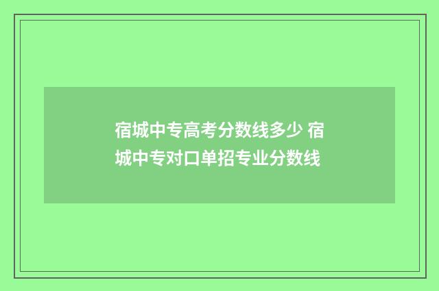 宿城中专高考分数线多少 宿城中专对口单招专业分数线