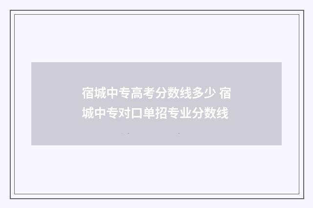 宿城中专高考分数线多少 宿城中专对口单招专业分数线
