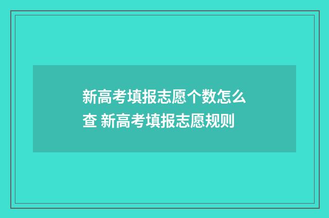 新高考填报志愿个数怎么查 新高考填报志愿规则