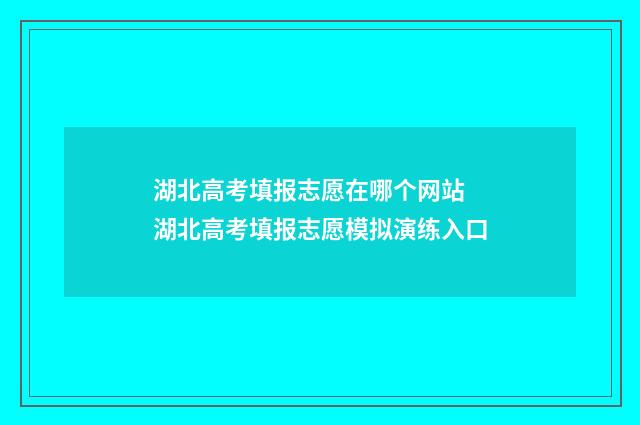 湖北高考填报志愿在哪个网站 湖北高考填报志愿模拟演练入口