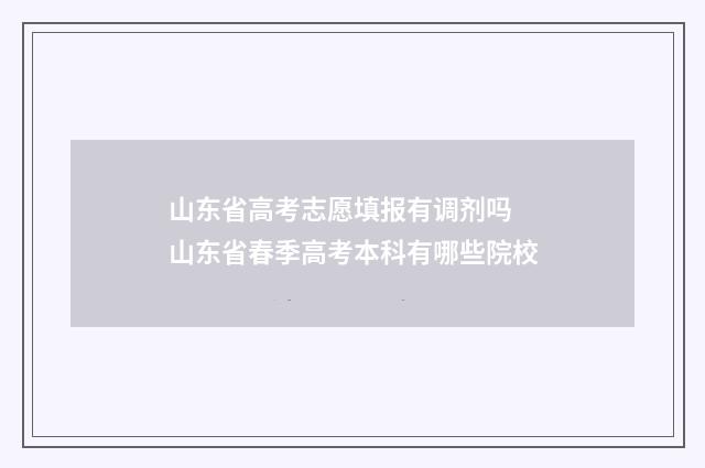 山东省高考志愿填报有调剂吗 山东省春季高考本科有哪些院校
