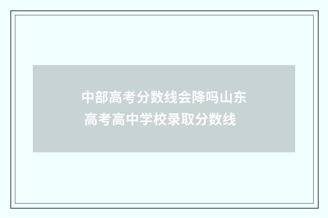 中部高考分数线会降吗山东 高考高中学校录取分数线