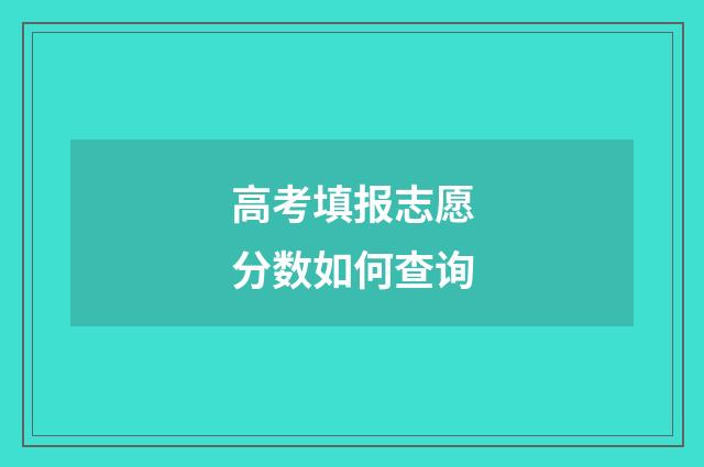 高考填报志愿分数如何查询