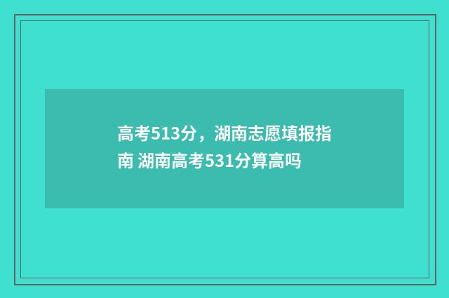 高考513分，湖南志愿填报指南 湖南高考531分算高吗