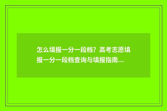 怎么填报一分一段档？高考志愿填报一分一段档查询与填报指南 一分一表啥意思