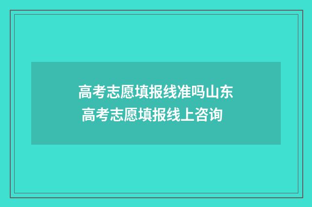 高考志愿填报线准吗山东 高考志愿填报线上咨询
