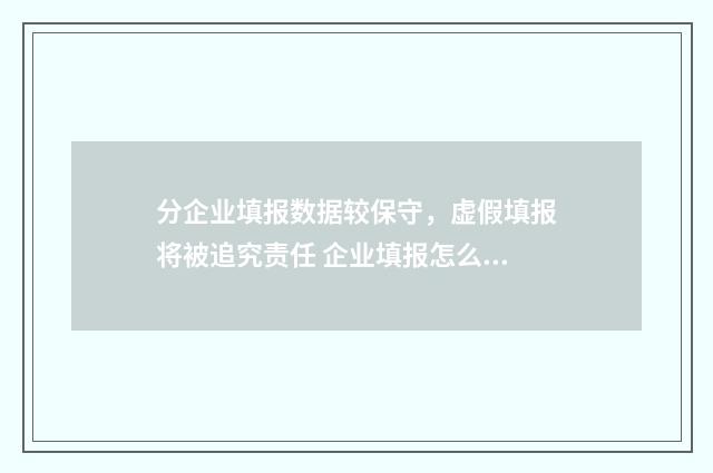 分企业填报数据较保守，虚假填报将被追究责任 企业填报怎么填
