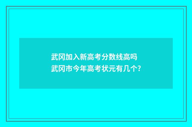 武冈加入新高考分数线高吗 武冈市今年高考状元有几个?