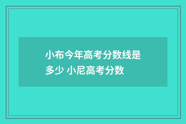 小布今年高考分数线是多少 小尼高考分数