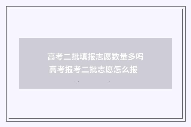 高考二批填报志愿数量多吗 高考报考二批志愿怎么报