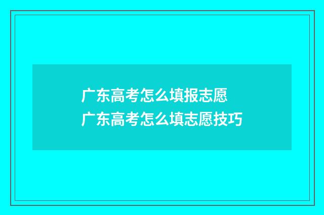 广东高考怎么填报志愿 广东高考怎么填志愿技巧