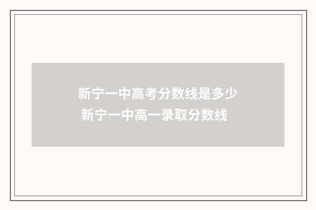 新宁一中高考分数线是多少 新宁一中高一录取分数线